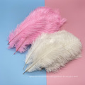 Wholesale Hot-Selling Gorgeous Natural Peacock Feather for Decorations